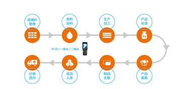 構建智慧防線 水產品質量追溯系統與信息安全軟件開發雙管齊下，保障您的食用安全